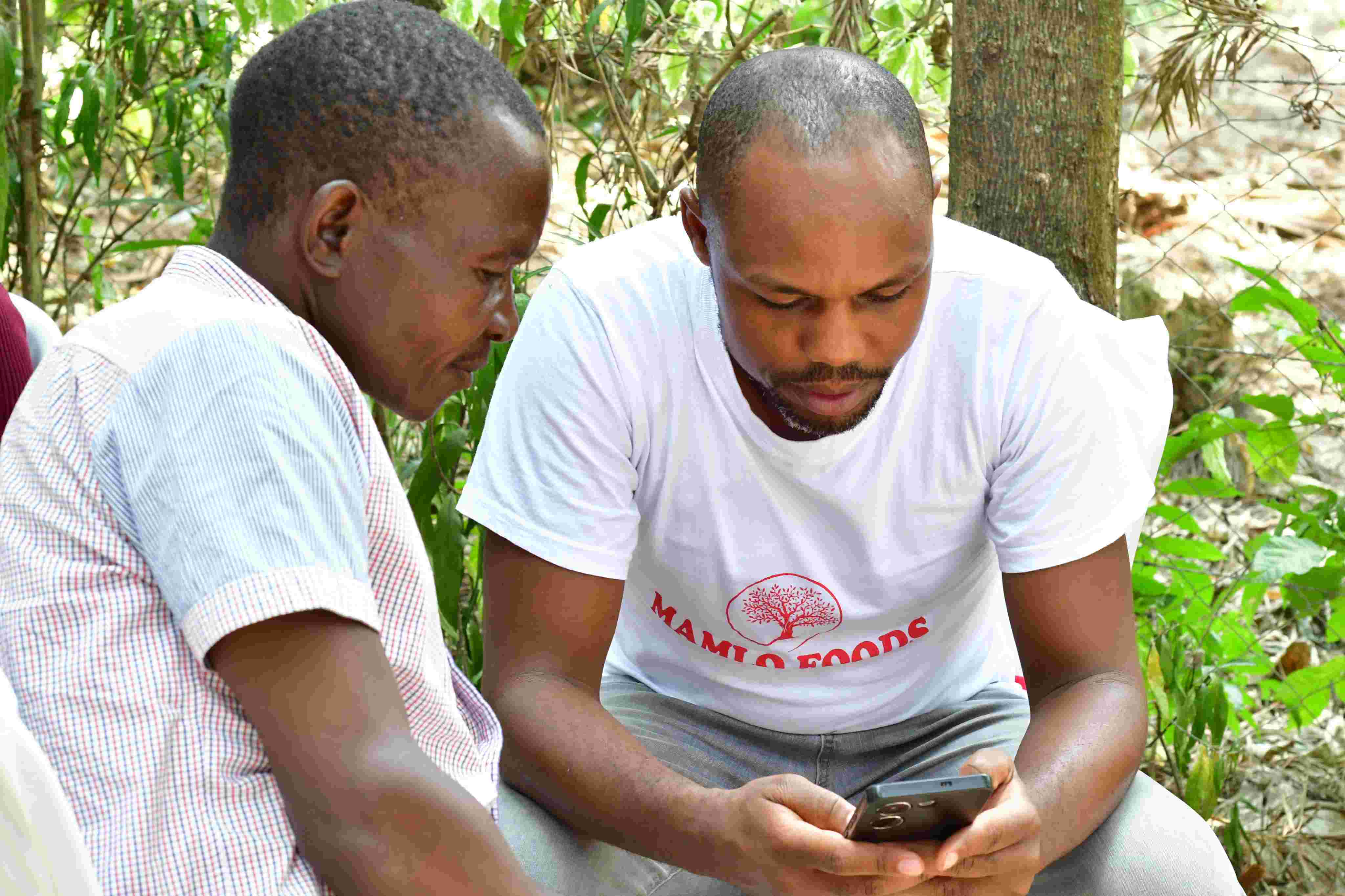MAMLO FOODS Data Collection
