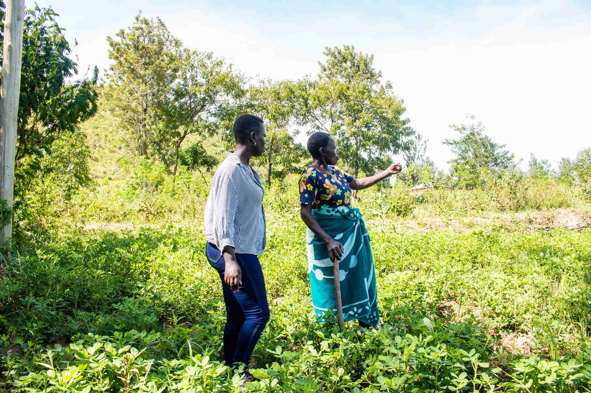 MAMLO FOODS Field Visits