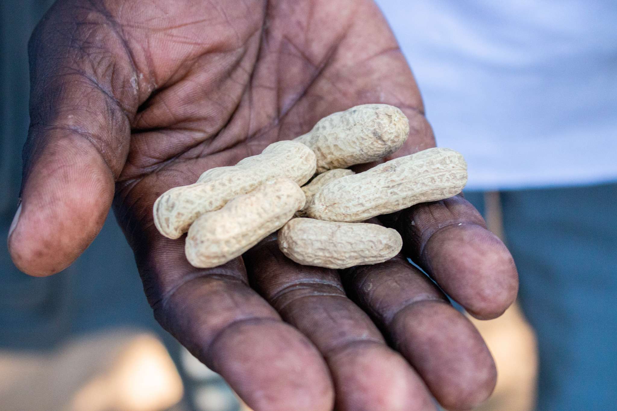 MAMLO FOODS Field Visits